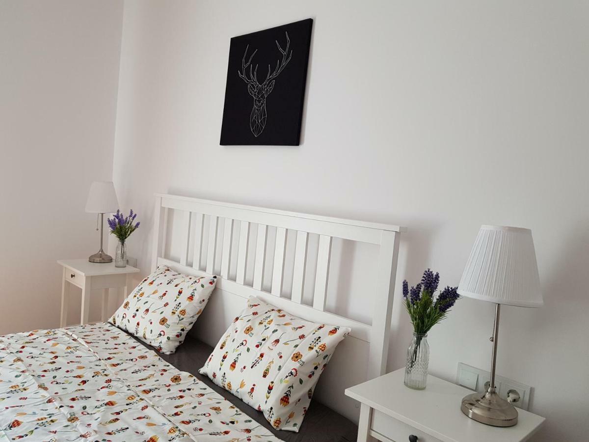 Oberiter Apartments - Center Of Zagreb, Fast Wifi, Ac, Kitchen, Parking Buitenkant foto